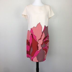 Ann Taylor LOFT Dress